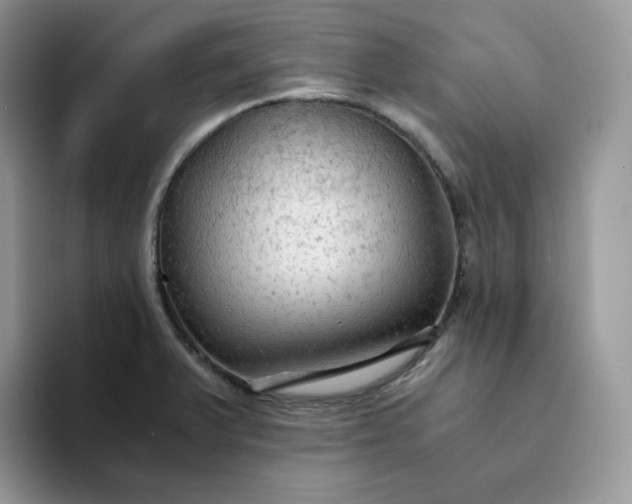 X0000094221375200711091248