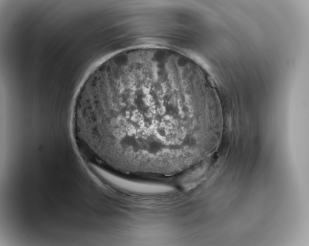 X0000094221379200711091248