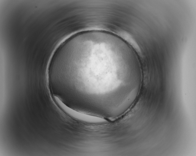 X0000094221380200711091248