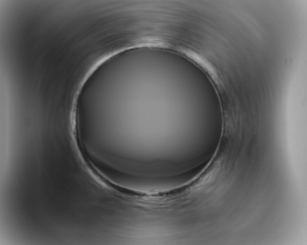 X0000094221383200711091248