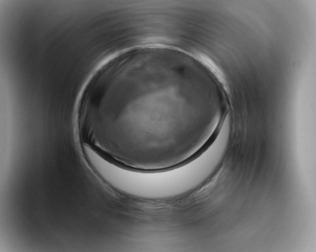 X0000094221384200711091248