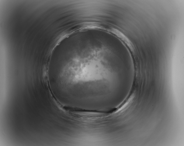 X0000094221385200711091248