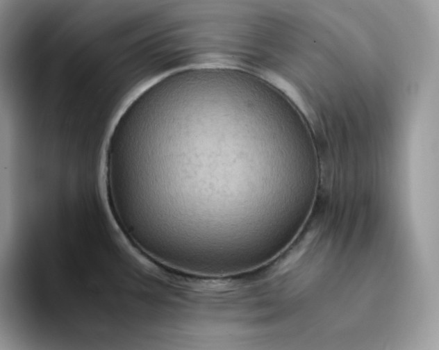 X0000094221387200711091248