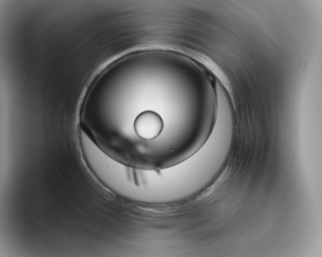 X0000094221388200711091248