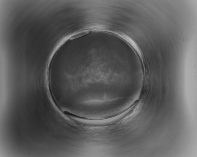 X0000094221389200711091248