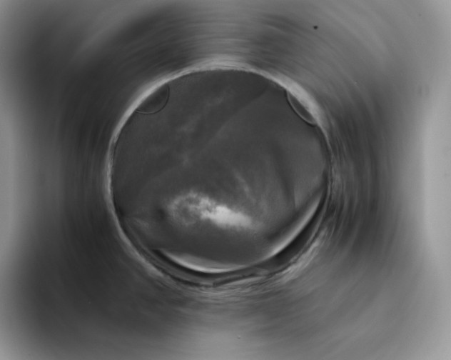 X0000094221390200711091248