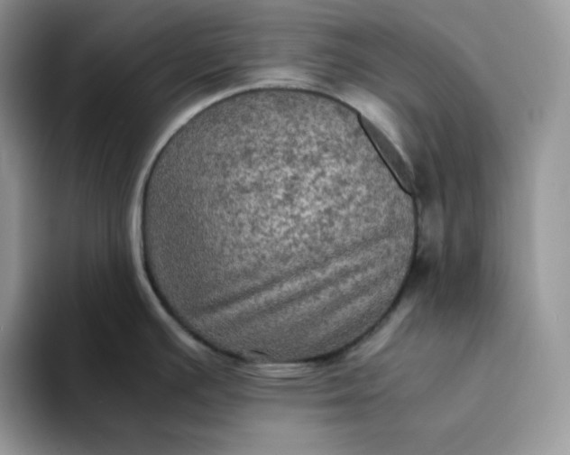 X0000094221391200711091248