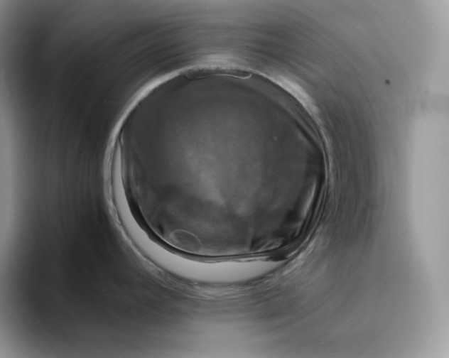 X0000094221392200711091248