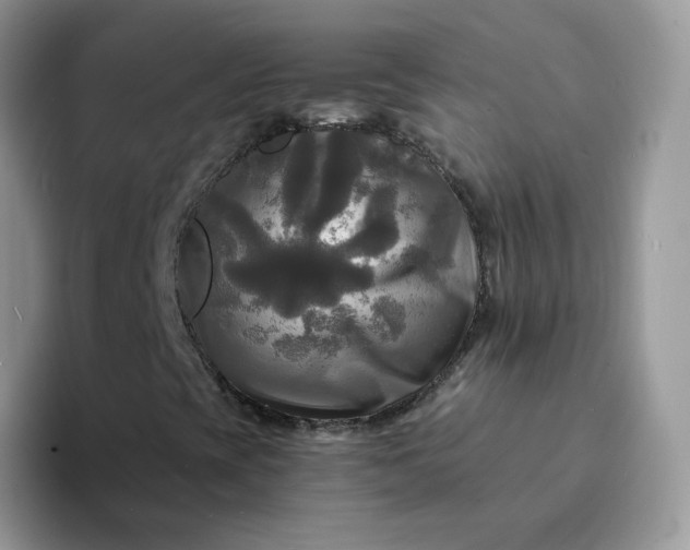 X0000094221393200711091247