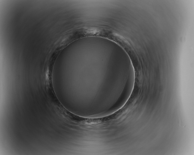 X0000094221394200711091247