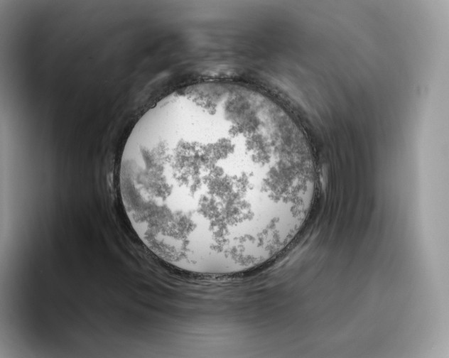 X0000094221396200711091247