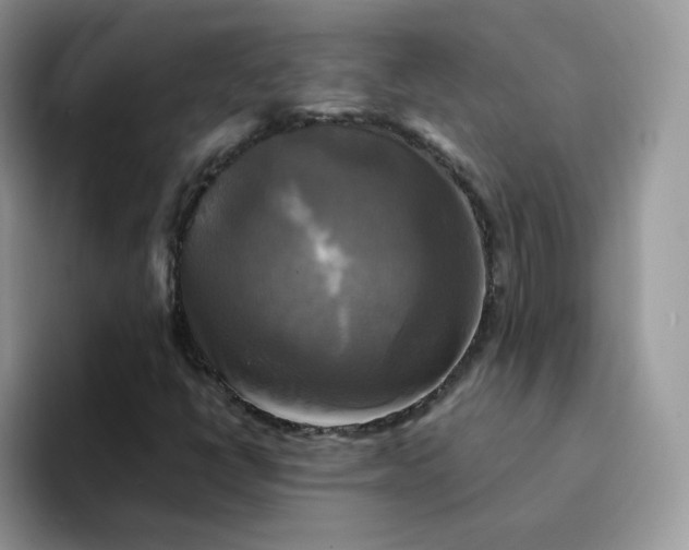 X0000094221398200711091247