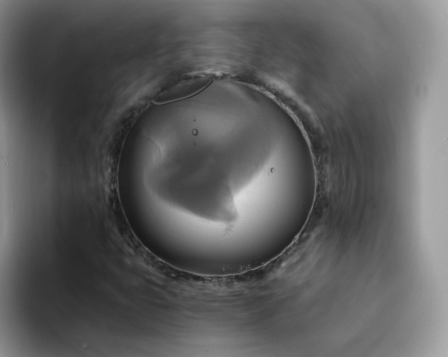 X0000094221399200711091247