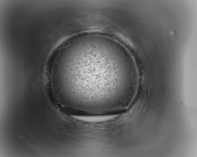 X0000094221400200711091247