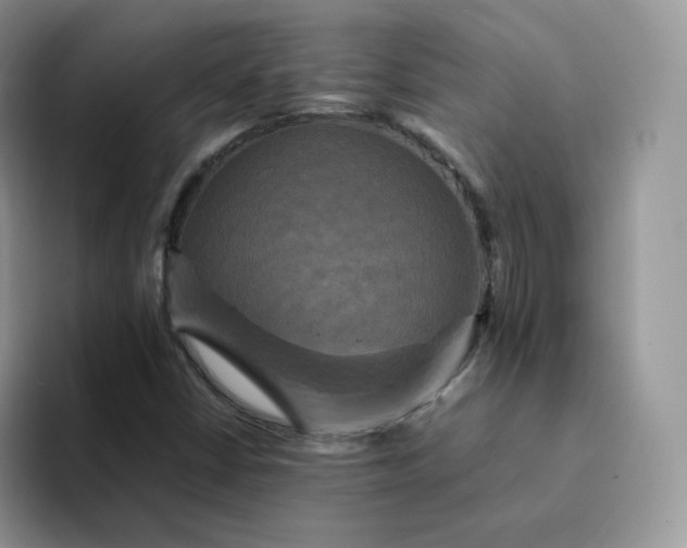 X0000094221402200711091247