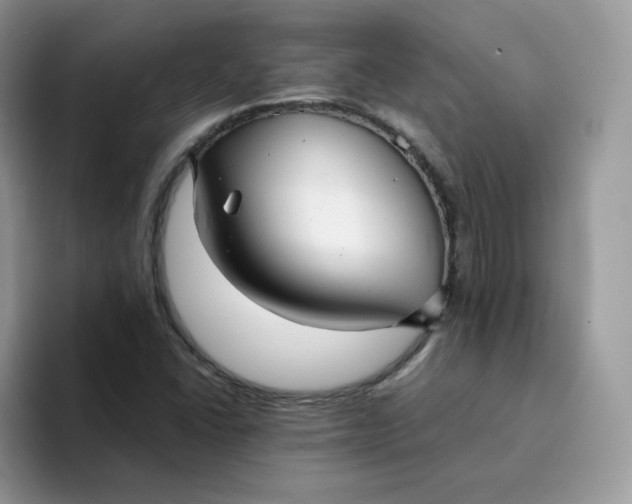 X0000094221406200711091247