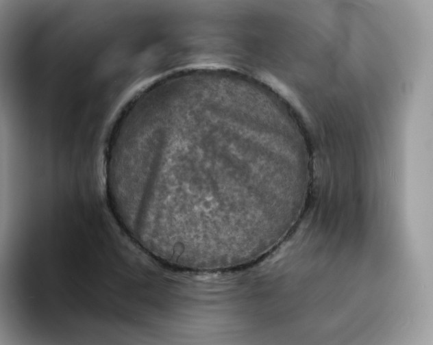 X0000094221408200711091247