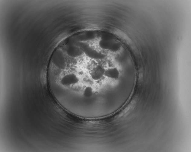 X0000094221409200711091247