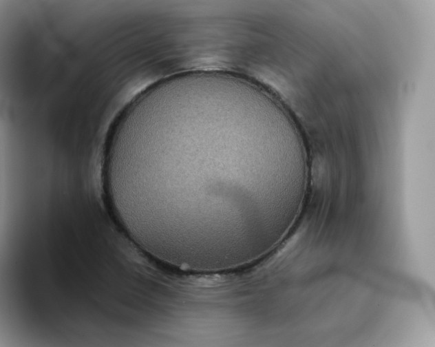 X0000094221410200711091247