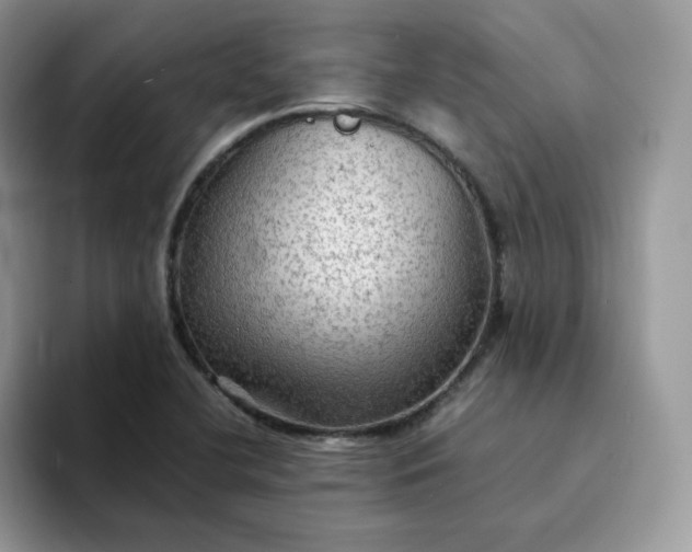 X0000094221412200711091247