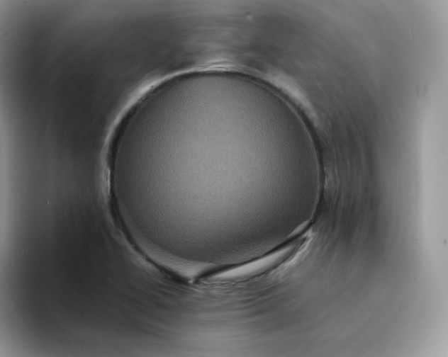 X0000094221414200711091247