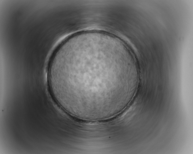 X0000094221416200711091247