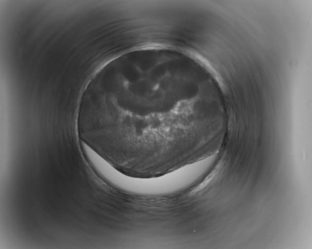 X0000094221417200711091247