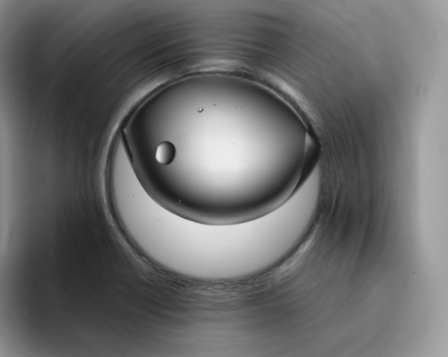 X0000094221418200711091247