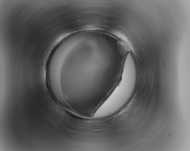 X0000094221419200711091247