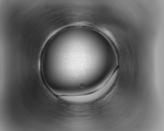 X0000094221420200711091247