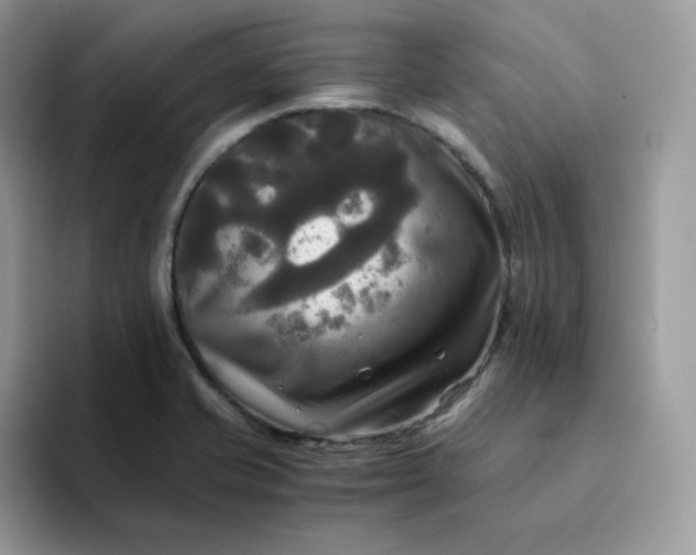 X0000094221421200711091248