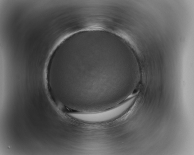 X0000094221422200711091248