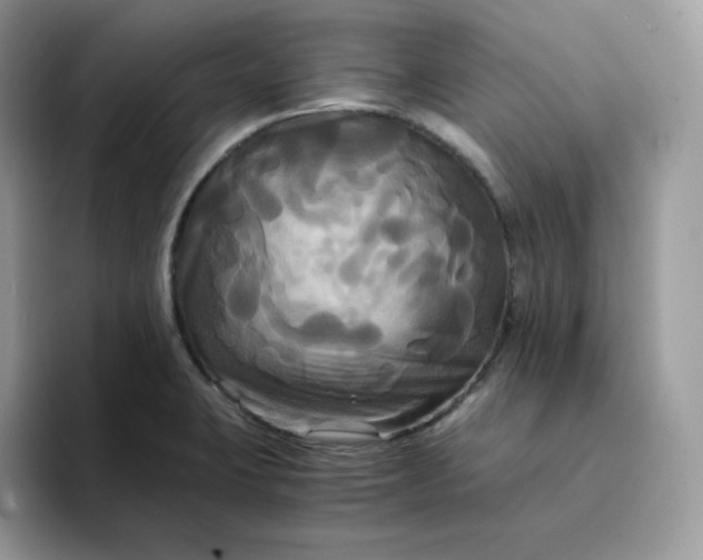 X0000094221423200711091248