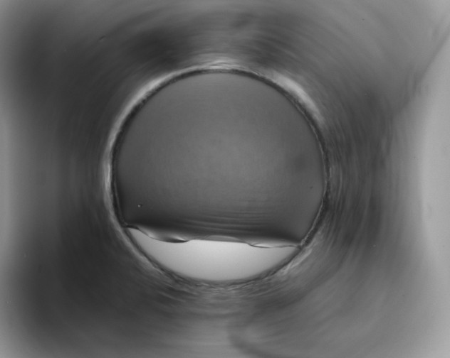 X0000094221424200711091248