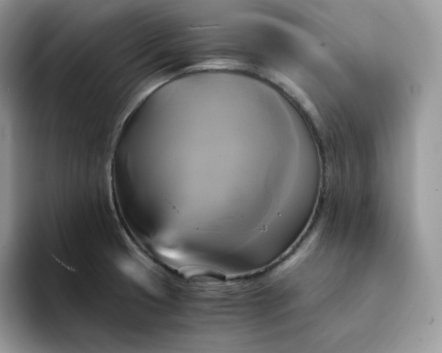 X0000094221425200711091248