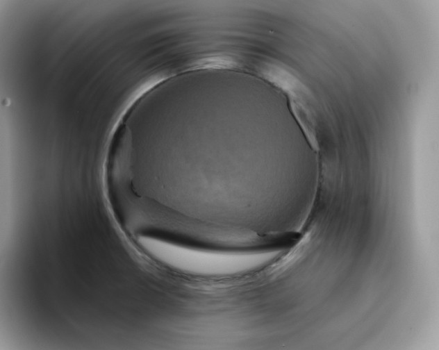 X0000094221426200711091248