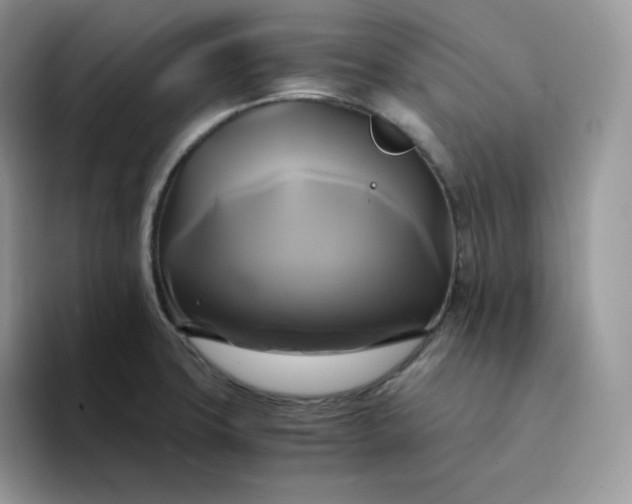 X0000094221427200711091248