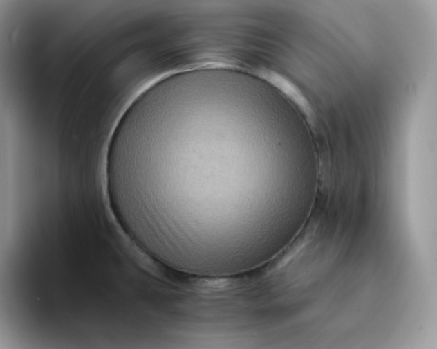 X0000094221431200711091248