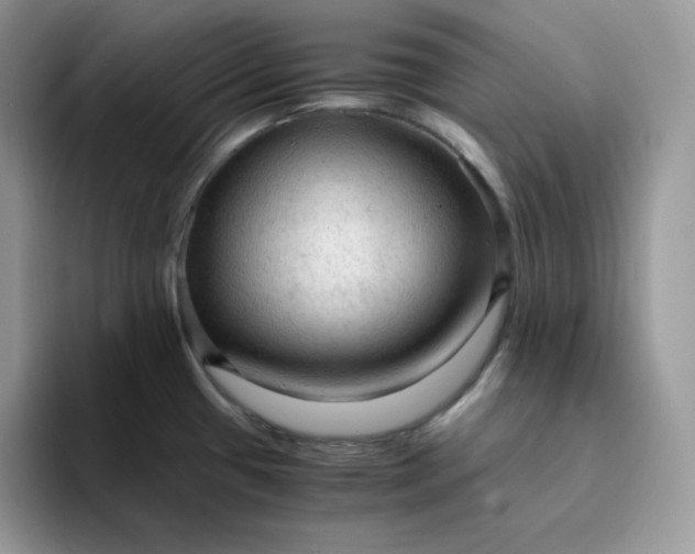 X0000094221433200711091248