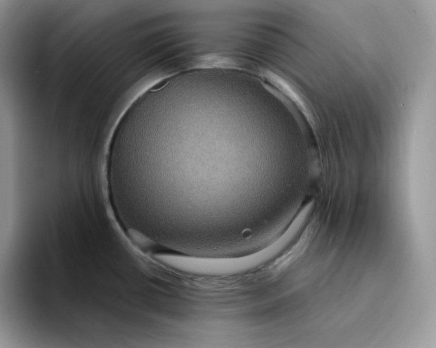 X0000094221434200711091248