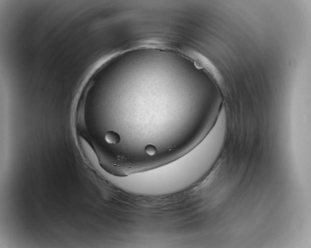 X0000094221435200711091248