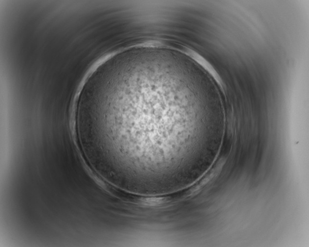 X0000094221437200711091248