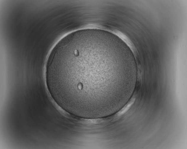 X0000094221438200711091248