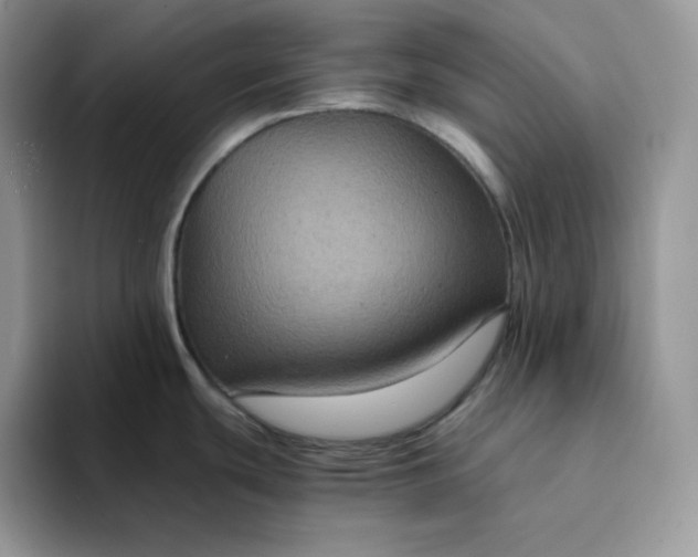 X0000094221439200711091248