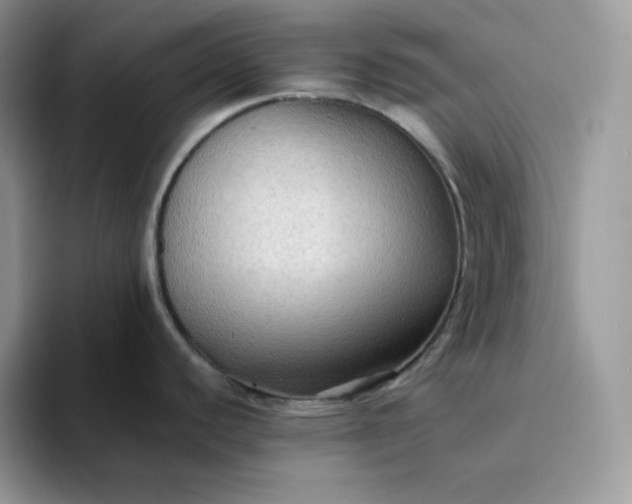 X0000094221440200711091248