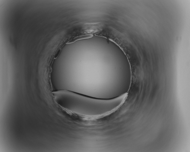 X0000094221441200711091247