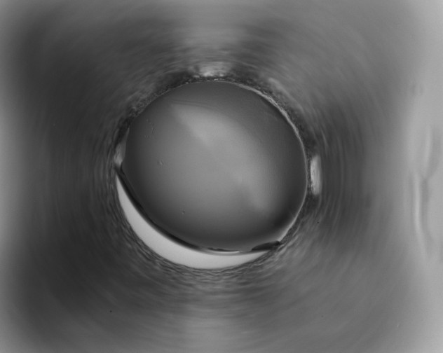 X0000094221443200711091247