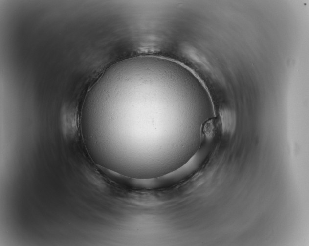 X0000094221444200711091247