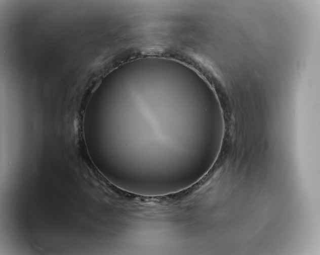 X0000094221445200711091247