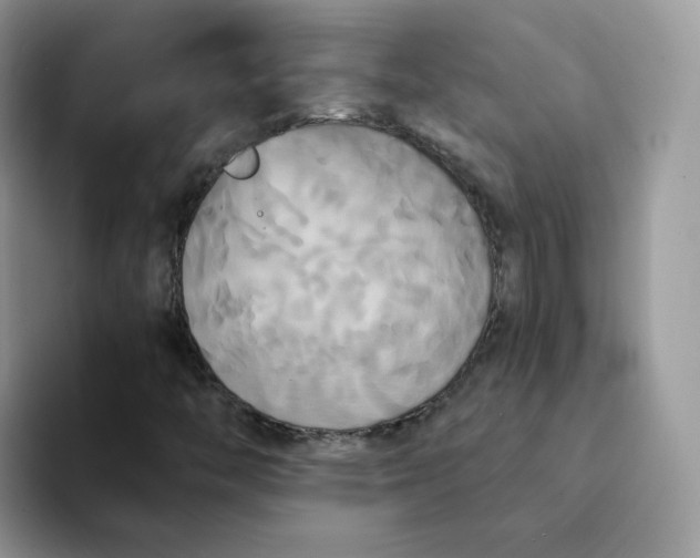 X0000094221446200711091247